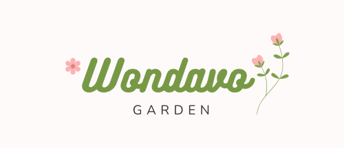 Wondavo