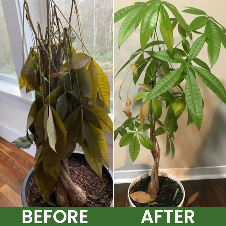LIMETOW® Plant Cultivation Stick