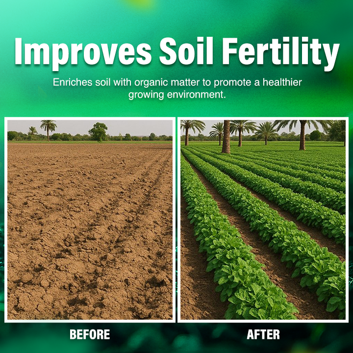 LIMETOW® Fermented Soybean Meal Organic