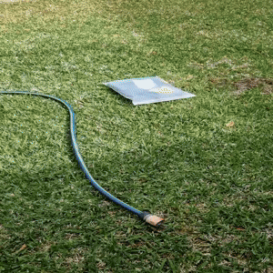 AquaPaws™ Dog Splash Pad