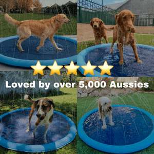 AquaPaws™ Dog Splash Pad